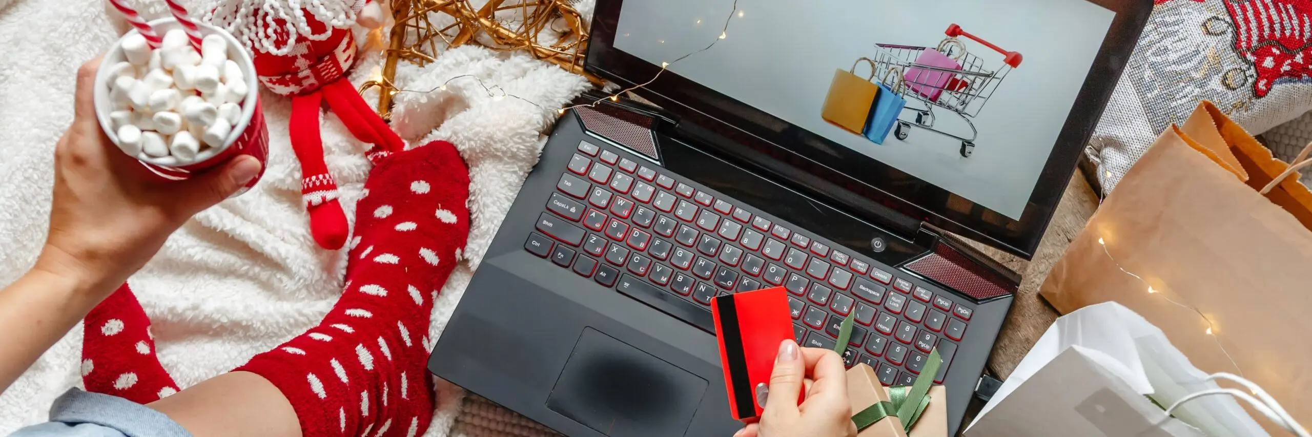 nákupy online - Placení kartou na internetu